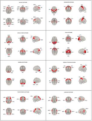 Resting-State Functional Connectivity of the Ageing Female Brain—Differences Between Young and Elderly Female Adults on Multislice Short TR rs-fMRI